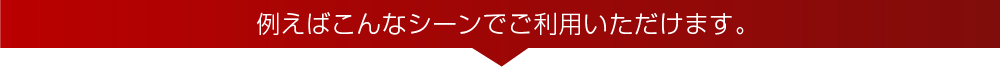例えばこんなシーンでご利用いただけます。